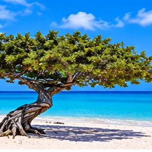 Eagle Beach