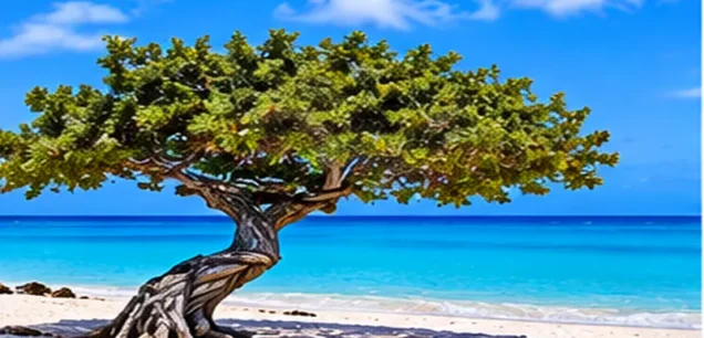 Eagle Beach