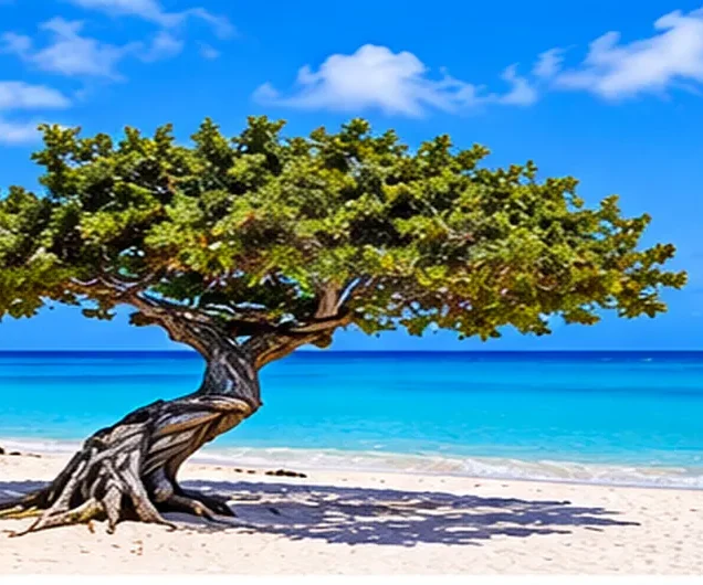 Eagle Beach